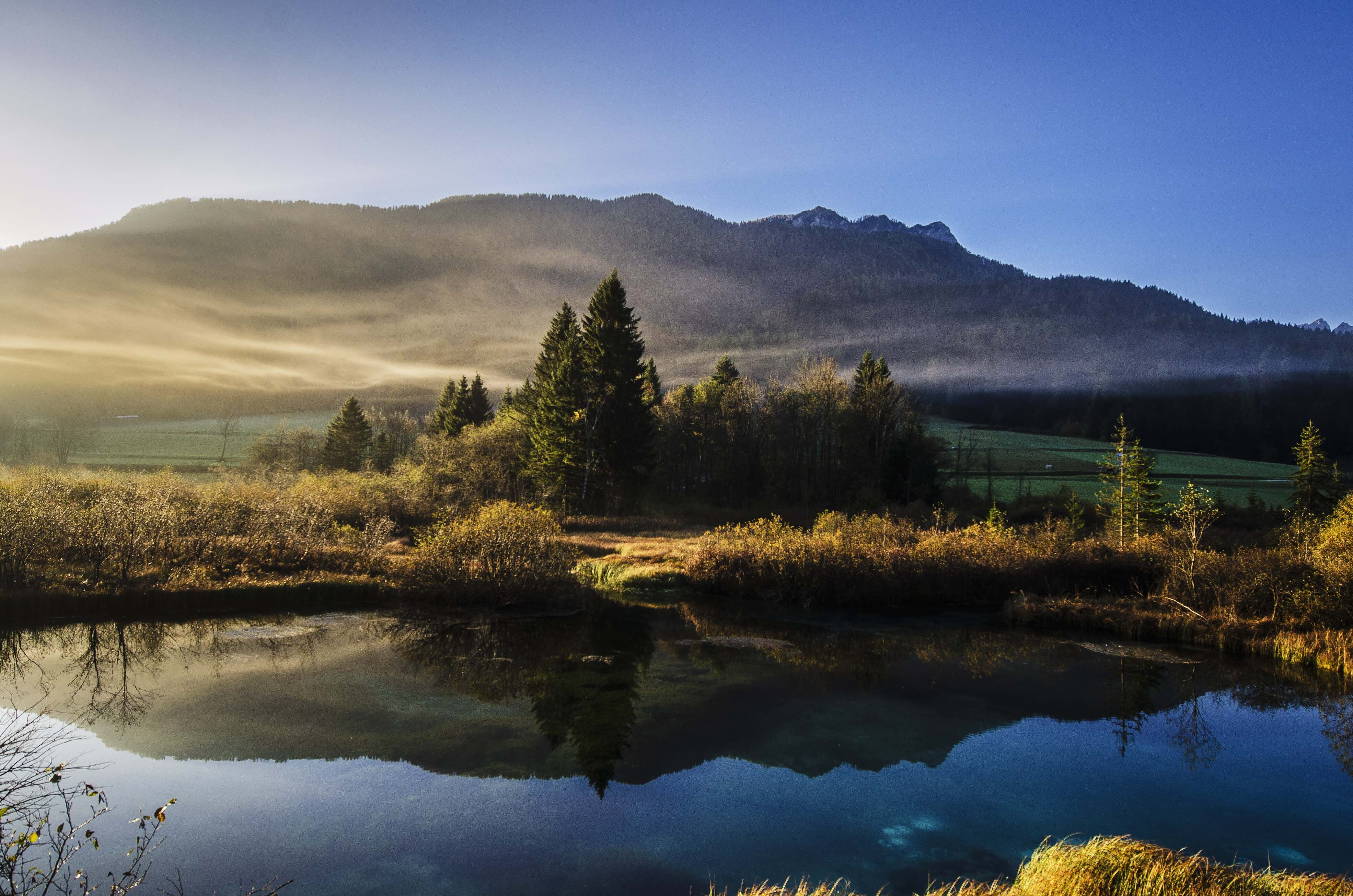 Nature landscape