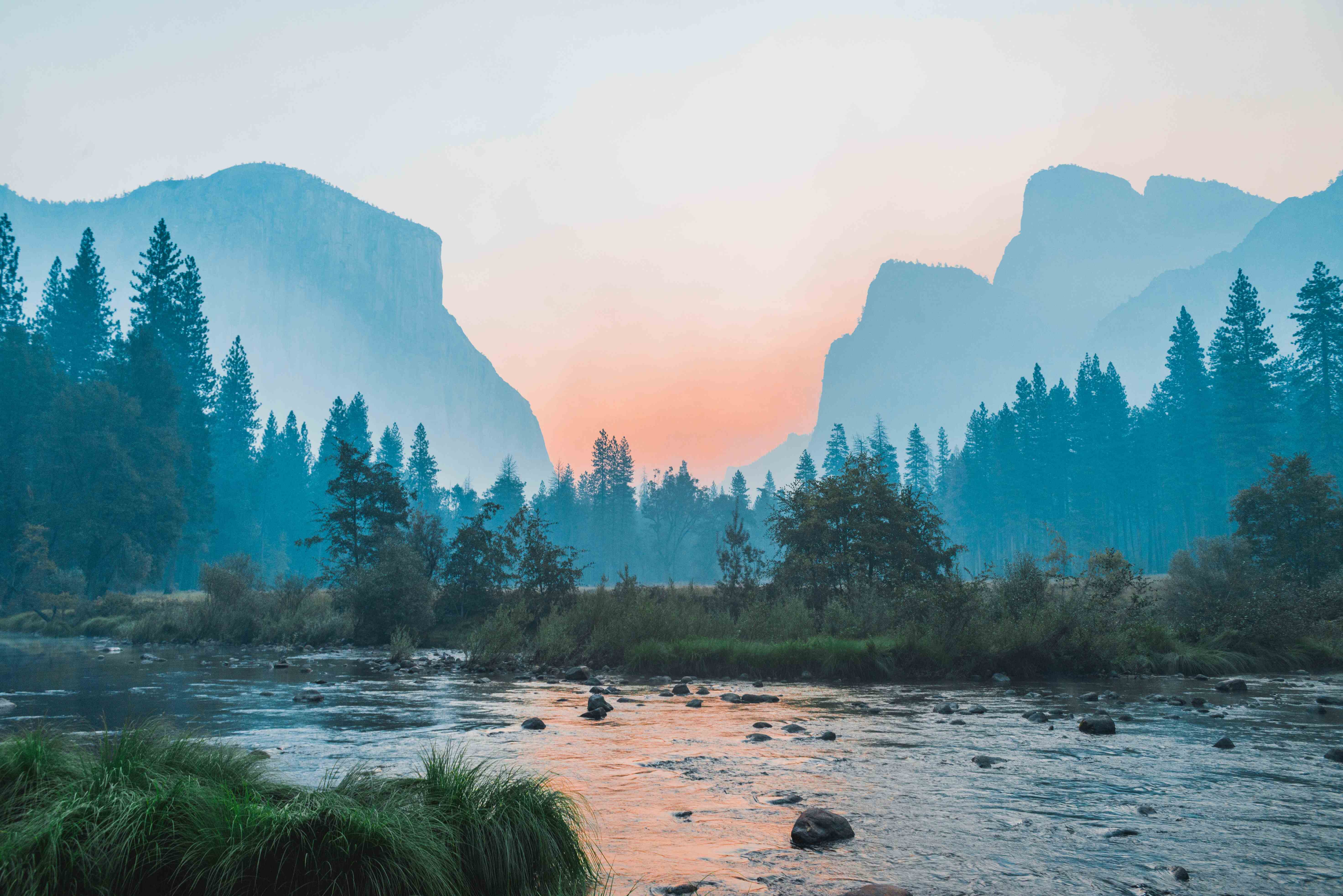 Swamp nature landscape